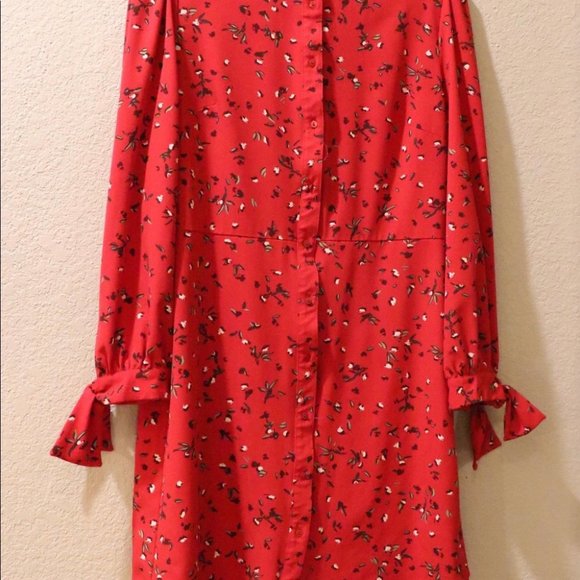 Meet your Posher, Lady G - Picture 3 of 5